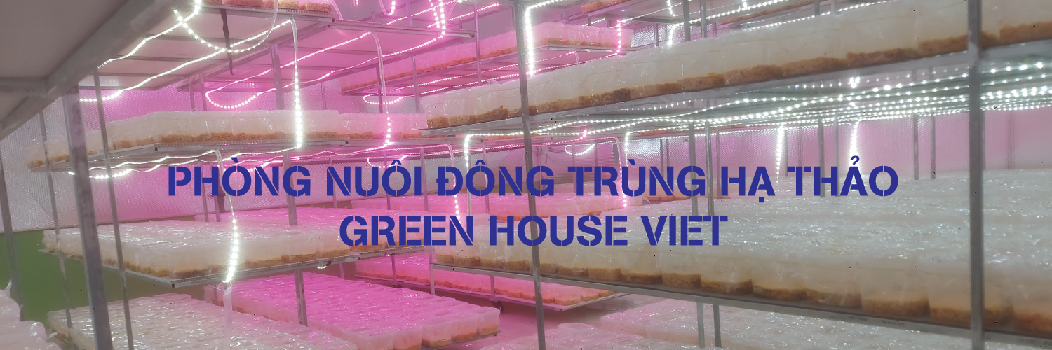 PHÒNG NUÔI ĐÔNG TRÙNG HẠ THẢO GHV